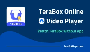 ​​How to Open, Download, and Watch TeraBox Link Videos Without the App