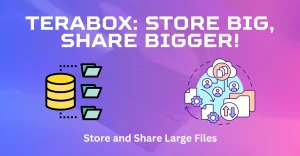 Share Large Files? Simplify Transfers Using Cloud Storage App TeraBox