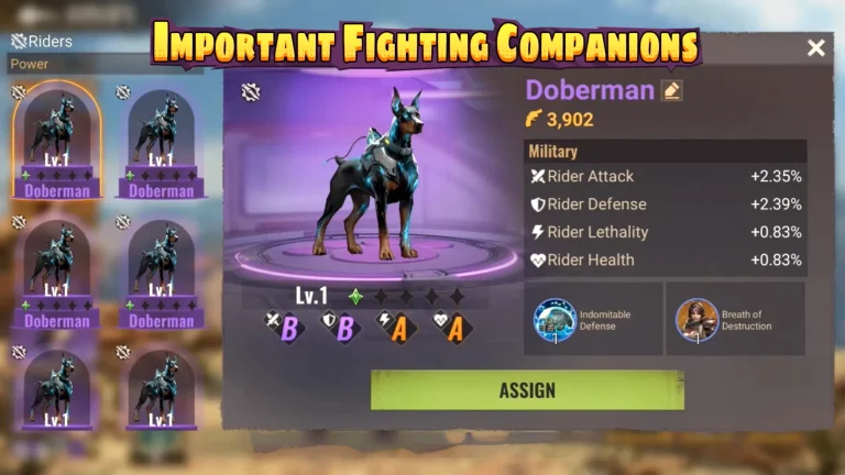 MMORPG Strategy Guide to Pet Paradise of State of Survival Game